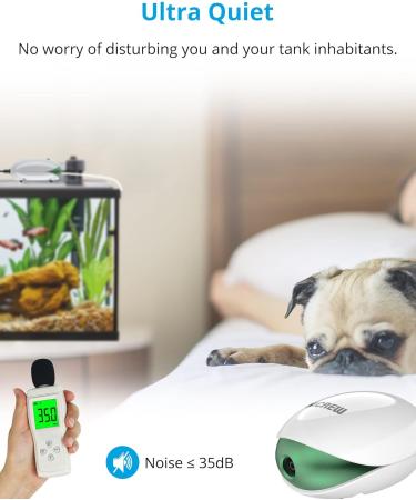 Nicrew Ultra-Quiet Aquarium Air Pump (Up to 100L) - Adjustable Flow 35 dB Includes Hose & Check Valve Energy-Efficient 1.7W - Buy Online on GoSupps.com