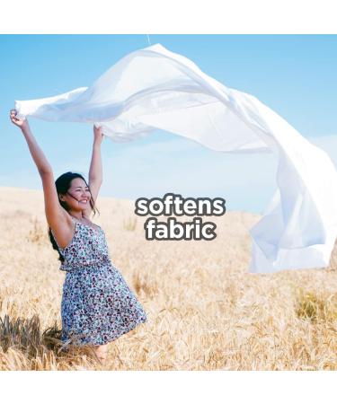 HOME VICTORY Spring Lavender Scented Dryer Sheets - 480 Count Fabric Softener Sheets for Wrinkle Reduction, Static Control, and Softened Fabrics - Buy Online on GoSupps.com