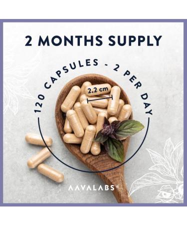 High Strength Milk Thistle Capsules | Liver Support (80% Silymarin) - 24000mg | With Artichoke, Dandelion & Choline - 120 Tablets - Buy Online on GoSupps.com