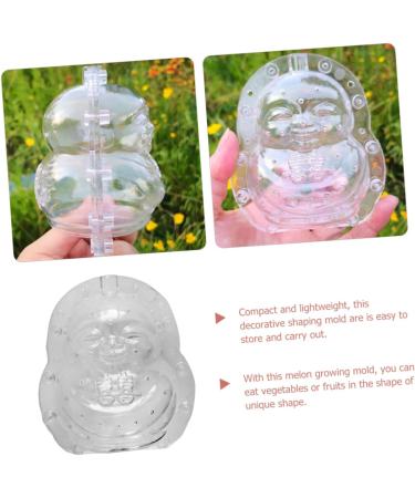 SUPVOX Novel Shaping Fruits Shaping Tool Fruit Fruit Mould Fruit Accessory Stereotypes - Buy Online on GoSupps.com