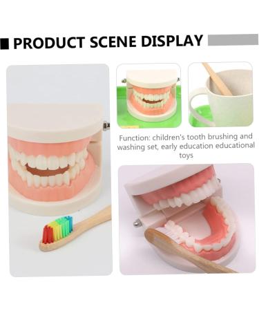 Ipetboom Children's Dental Education Toy | Early Learning Model for Dental Health | Reusable Tooth Model for Kids - Buy Online on GoSupps.com