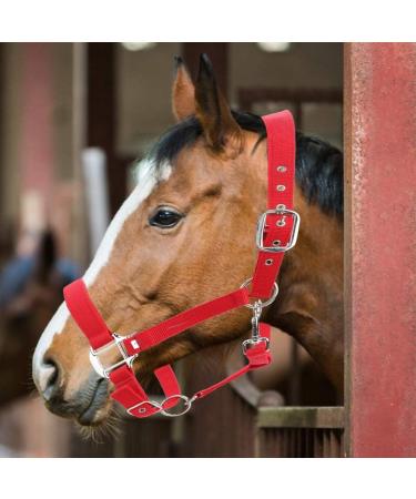 Horse Fly Control Horse Heads 6mm Training Leadership Driving Headpiece - Buy Online on GoSupps.com