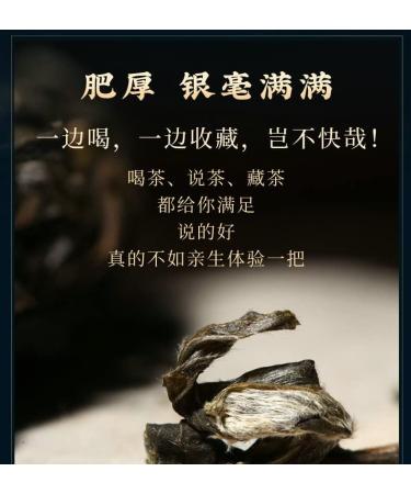 Pu-erh tea 2021 SHENG JIA YUAN 200 357g Raw - Buy Online on GoSupps.com