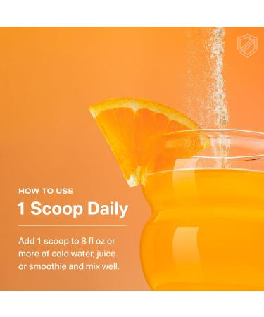 Proper The Oranges Nutrient-Dense Superfood Powder for Immune Support & Gut Health - Elderberry Vitamin C Zinc & Echinacea Supplement Complex Enhanced with Probiotic Digestive Blend 30 Servings - Buy Online on GoSupps.com