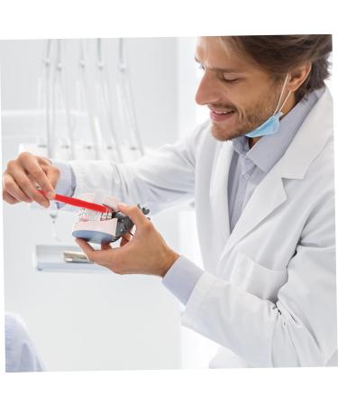 Buy Mikinona 4-Piece Travel Toothbrush Set for Braces & Prosthesis Care | Portable Cleaning Solution - Buy Online on GoSupps.com