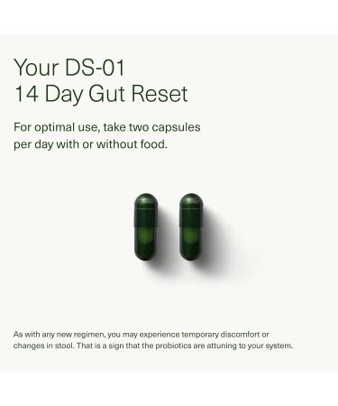 Seed 14 Day Gut Reset - Prebiotic and Probiotic for Women & Men - Digestive Health Gut Health Rapid Gut Recovery Bloating & Constipation Relief - Vegan & Shelf-Stable - 28 Capsules (14-Day Supply) - Buy Online on GoSupps.com