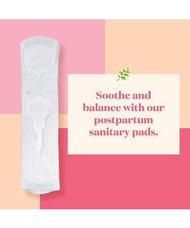 Honey Pot Herbal-Infused Postpartum Pads with Wings - 12 Count | Natural Comfort & Care - Buy Online on GoSupps.com