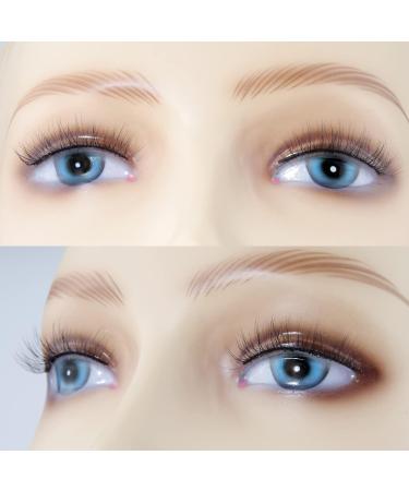 EMEDA 5 Pair Natural Look Eyelashes Kit with Glue, Tweezers & Applicator - 3D Short False Lashes for a Natural Look - Buy Online on GoSupps.com