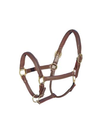 MiraQuine Leather Halter (WB/Full Brown) WB/ Full Brown