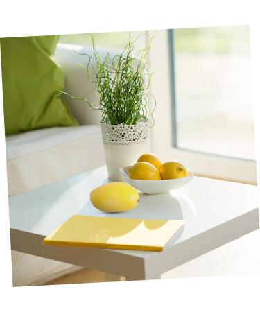 ABOOFAN 9 Pcs Fruit Photography Props Models Fruit Toys Fruit Model Decor for Kitchen Creative Toys Creative Playthings Simulated Fruit Mango Decorations - Buy Online on GoSupps.com