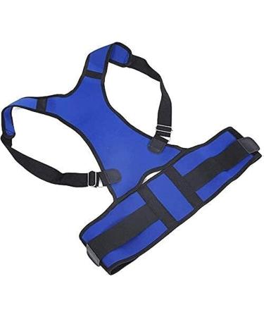 Adjustable Posture Corrector & Lumbar Support Belt - XL Blue for Men & Women | Lower Back Pain Relief & Improved Posture - Buy Online on GoSupps.com