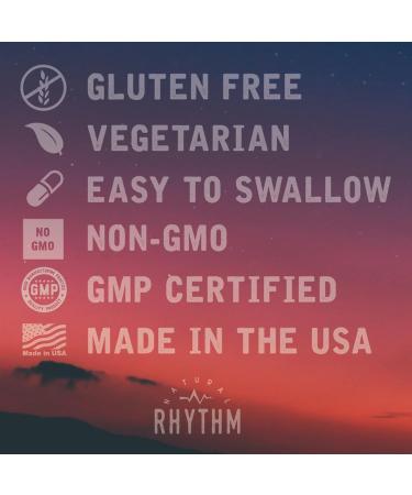 Natural Rhythm Digestive Calm Probiotic + L-Glutamine 25 Billion CFU 13 Strains Digestive & Immune Support Supplement Vegetarian Capsules (60 Count) - Buy Online on GoSupps.com