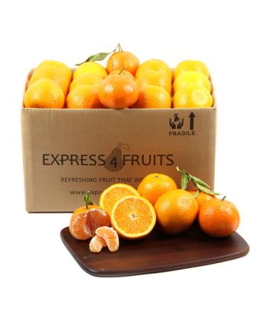 Sweet Orange Gift Box | Office and Business Fruit delivery | Fresh Fruits delivered next day