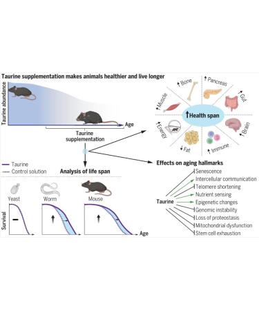 Taurine Supplement for Cat Longevity by CatSprinkles - 130 servings - Buy Online on GoSupps.com