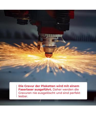 Personalized Dog & Cat Bone Shape Pendants - Ibera Gifts | Engraved Dog Collars & Name Tags (Red Heart) - Buy Online on GoSupps.com