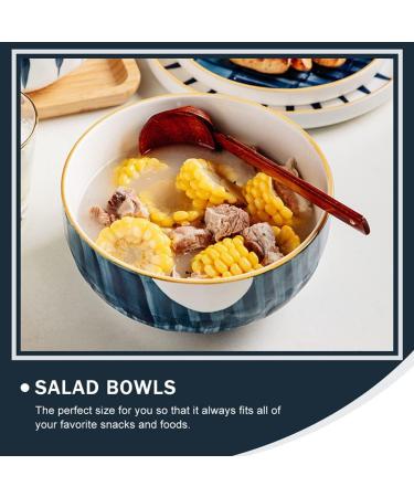 Hemoton Bowl Ramen Bowls Ceramic Salad Bowl Big Pasta Bowl Serving Bowl for Ramen Noodles Microwavable Bowls for Kitchen and Restaurants Japanese Ramen Japanese Assorted Color-1 - Buy Online on GoSupps.com