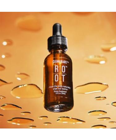 Buy THEROOTBRANDS Root Wellness Clean Slate - Bioavailable Silicic Acid with Vitamin C (30 ml) | International Shipping Available - Buy Online on GoSupps.com