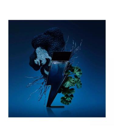 Carolina Herrera Bad Boy Cobalt Eau de Parfum Spray for Men 3.4 Ounce - Buy Online on GoSupps.com