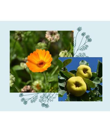 Nature's Workshop Officina Naturae Solid shower Biricco plastic free biological sustainable nickel tested Vegan 50 g - Buy Online on GoSupps.com