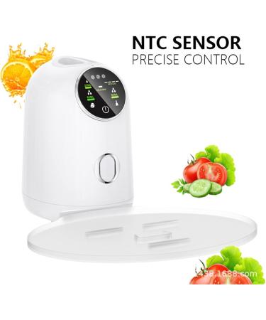  BJTYHT DIY Electronic Face Mask Device - Electronic Mask for Fruits and Vegetables - Buy Online on GoSupps.com