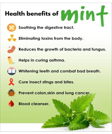 NN Green Mint Leaf Powder 100 GM - Buy Online on GoSupps.com