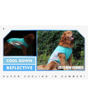 Dog Cooling Vest | Breathable Mesh Dog Jacket | Summer Cool & Comfortable Coat | 3XL Blue - Buy Online on GoSupps.com