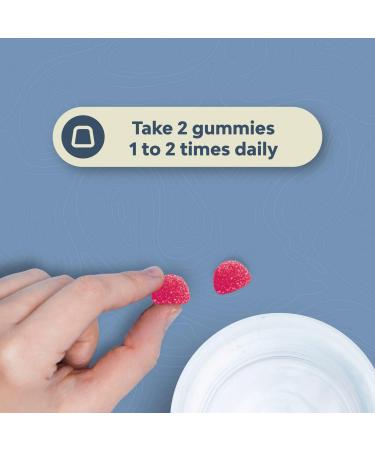 Raspberry Ketones Green Tea + African Mango Bundle with Zinc Gummies | Boost Weight Loss | Gluten & Gelatin Free - Buy Online on GoSupps.com