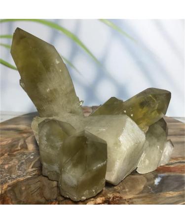 Citrine Natural Citrine Natural Crystal Cluster Quartz Specimen Feng Shui Raw Yellow Gem Room Decoration Fashion Collection - Buy Online on GoSupps.com