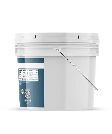 Earthborn Elements Almond Flour 2 Gallon Bucket - Gluten-Free Baking, Always Pure - 1 Count - Buy Online on GoSupps.com