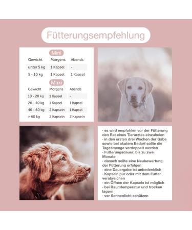 CaniMove Double Pack Dermal Mini (200 Capsules) - Supplementary Feed for Small Dogs | Healthy Skin & Shiny Coat - International Shipping Available - Buy Online on GoSupps.com