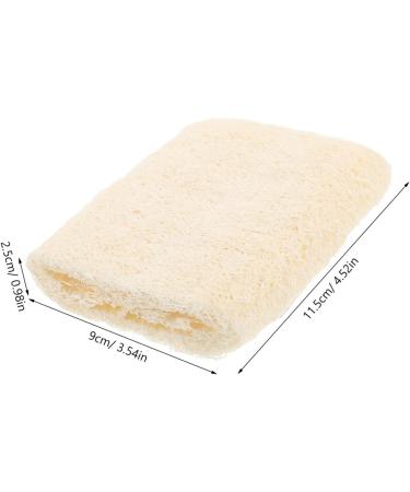 Loofah Back Brush Head - Exfoliating Bath Scrubber for Body Cleaning | Travel-Friendly Skincare Tool - Buy Online on GoSupps.com