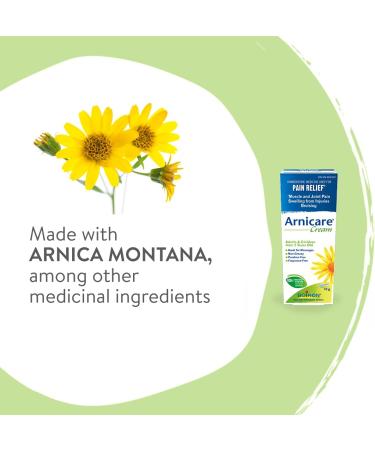Boiron Arnicare Cream Pack of 2 boxes for Pain Relief Muscle Pain and Joint Pain Relief Swelling from injuries Bruise & Bruising from Natural Sourced Plants Including Arnica Montana 2x 70g - Buy Online on GoSupps.com