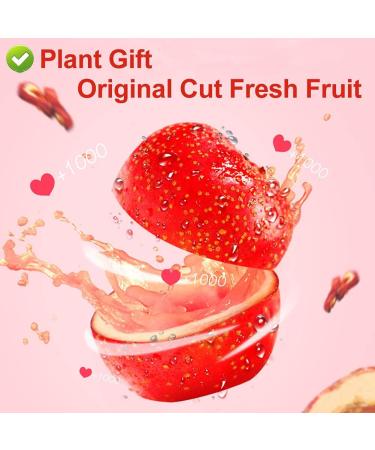 PlantGift Hawthorn Berry 80G/2.82oz China Medicinal Herb (Shanzha/Dried Hawthorne) Dried Bulk Health Tea Hawthorn Berries - Buy Online on GoSupps.com