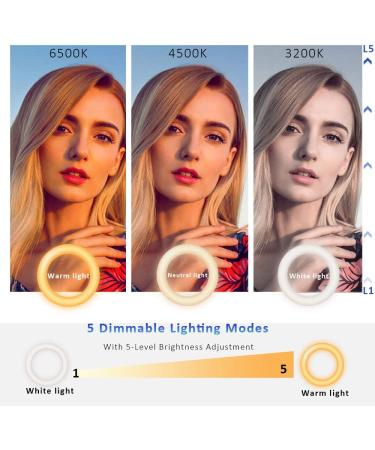 Cyezcor Video Conference Lighting Kit - Remote Work, Distance Learning, Zoom Calls, Live Streaming - Ring Light for Monitor Clip - Ideal for Computer Laptop Video Conferencing - Buy Online on GoSupps.com