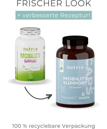 Glucosamine + Chondroitin High-Dose Vegan Mobility Support with MSM Hyaluronic Acid Zinc & Vitamin C - 120 Capsules | Raw Materials Glucosagreen & Phytroitin - Buy Online on GoSupps.com