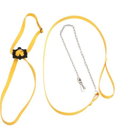 Tnfeeon Turtle Tableware Leash - Changeable Skin-Friendly Pet Dishes for Reptiles | Outdoor Use (75 x 40 cm) - Buy Online on GoSupps.com