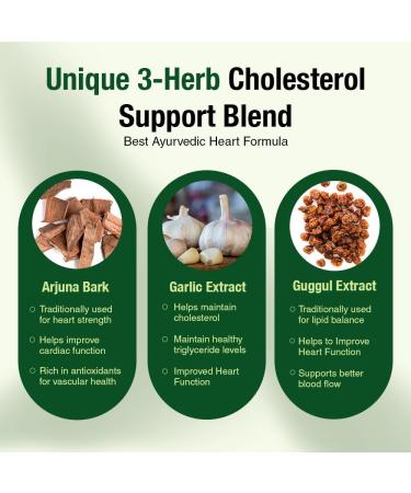 Kapiva Cholesterol Lowering & Heart Health Supplement | Plant Sterols, Niacin, Arjuna, Garlic & Guggul | Natural Herbal Vitamins for Healthy Cholesterol Support | 60 Capsules 60 Count (Pack of 1) - Buy Online on GoSupps.com