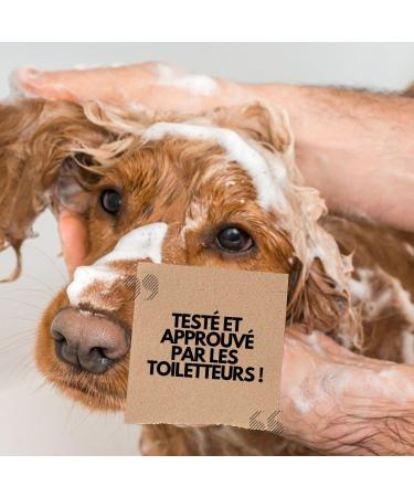 Puralia Shampoos (1 l Detangling) - Buy Online on GoSupps.com