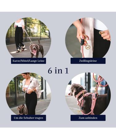 Buy Velvetier 2m Adjustable Dog Leash for Large & Medium Dogs | Durable Paracord & Nylon with Double Carabiners | Midnight Black Color - Buy Online on GoSupps.com