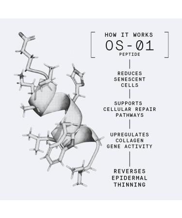 OneSkin OS-01 Peptide EYE Topical Supplement & Skin Longevity Moisturizer - 0.68 oz - Buy Online on GoSupps.com