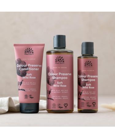 Dare to Dream - Wild Rose Shampoo Organic - Buy Online on GoSupps.com