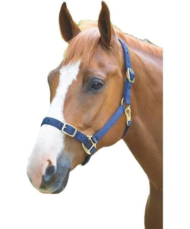 Shires Adjustable Pony/Horse Headcollar - Black Full Navy Full - Buy Online on GoSupps.com