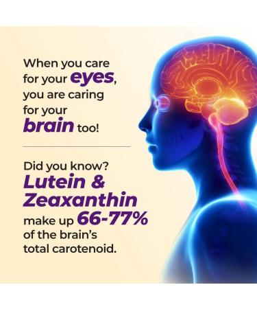 AFC Japan Ultimate Vision 4X - Improved, Up-Sized Eye Formula with Lutein 4X, Zeaxanthin, Bilberry Extract and Vitamins for Age-Related Eye Problem, Blurry & Poor Vision, Dry Eye, Macular Health 45s - Buy Online on GoSupps.com
