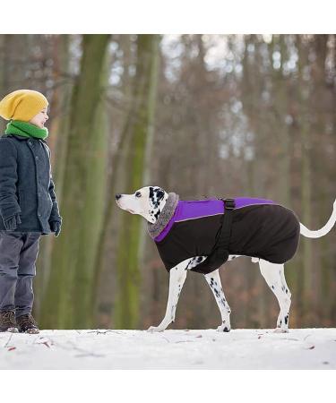 IECOii Extra Warm Reflective Adjustable Dog Jacket - Purple | Fleece Turtleneck Winter Coat for Small, Medium & Large Dogs - Buy Online on GoSupps.com