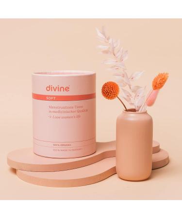 Divine Menstrual Cup - Soft Pink | Eco-Friendly | Comfortable & Reusable (S 1 Piece) - Buy Online on GoSupps.com