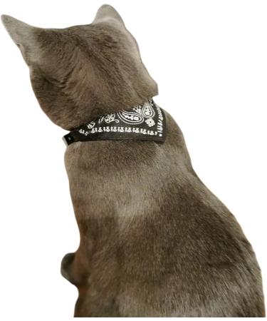 Buy Stylish Black Paisley Cat Collar with Bandana & Buckle - Size S (20-26cm) - International Shipping Available - Buy Online on GoSupps.com