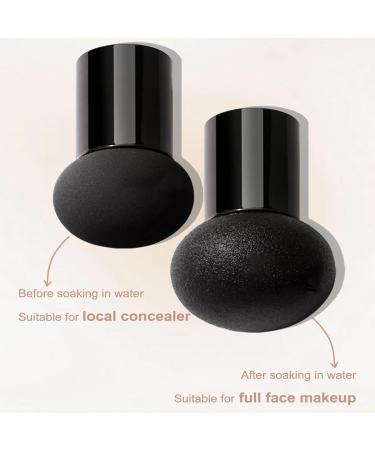 BB Cream - BB Cushion Cream Sweat Resistant & Renews Your Skin | Moisturizing Face Makeup Base with Air Cushion Water-Proof Moisturizing Concealer for - Buy Online on GoSupps.com