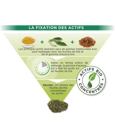 Th s de la Pagode - Tisane Digestao - Infusion au Rooibos Bio - Confort Digestif apr s le Repas - Baie de Gen vrier Mauve Gingembre Fenugrec - Boite de 60 Sachets - Buy Online on GoSupps.com