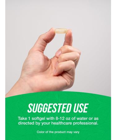 BulkSupplements.com Pumpkin Seed Oil Softgels - Pumpkin Seed Oil Supplement Herbal Supplement - Gluten Free 1 Softgel per Serving 240 Count (Pack of 1) - Buy Online on GoSupps.com