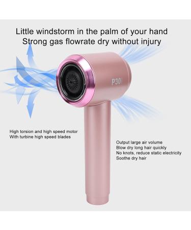 Portable Blow Dryer Rechargeable Hair Dryer with Temperature Control Cold and Hot Wind Adjustable Speed Hair Care for Home Travel (US Plug 100-240V) - Buy Online on GoSupps.com